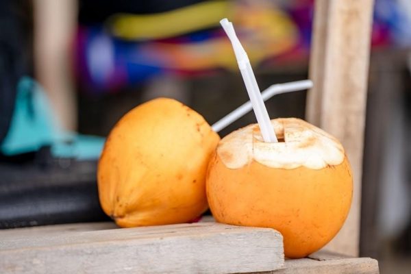 hamilton beach juice extractor manual