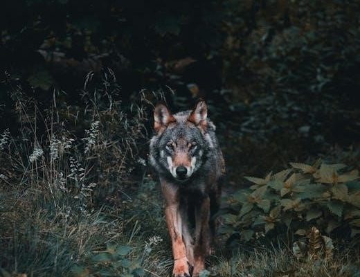 wow cata survival hunter guide