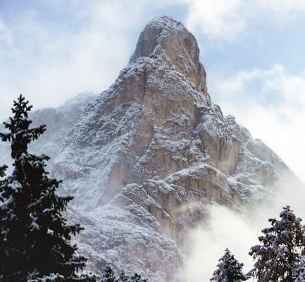 somfy remote instructions