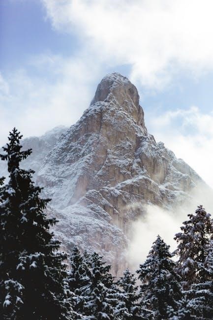 somfy remote instructions